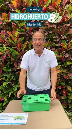 ¡Cultiva tu propio huerto hidropónico en casa!