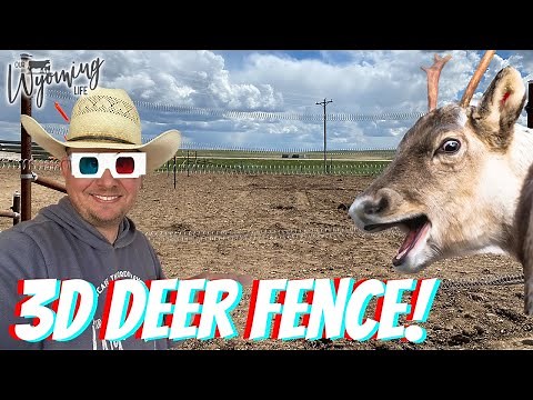 3D Deer Fence with Bekaert Fencing