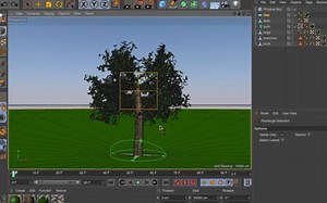 【C4D教程】一把手一把尿教你如何制作树的细节