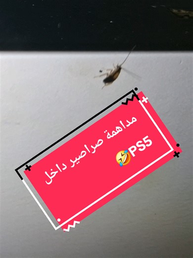 ‏مداهمة صراصير داخل PS5 #computergamesstory