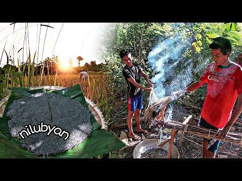 make iniruban with traditional way " DEREMEN" and cooking nilubyan, ilocano delicacies / kaprobinsya