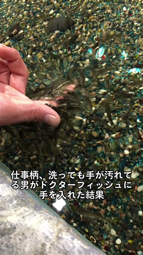ドクターフィッシュ体験！足を入れて楽しむ