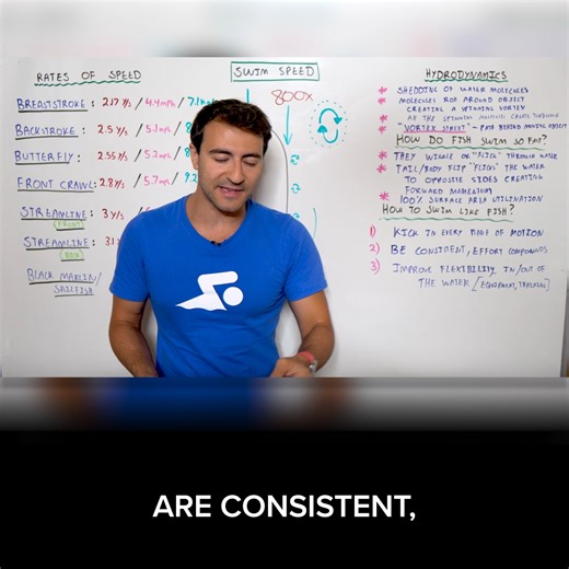 3.4K views · 170 reactions | What’s the fastest way to swim? The answer might surprise you! See how fast each swimming stroke is, and how you can improve your technique to shave off extra time. https://bit.ly/3PqBCr7 | MySwimPro | Facebook