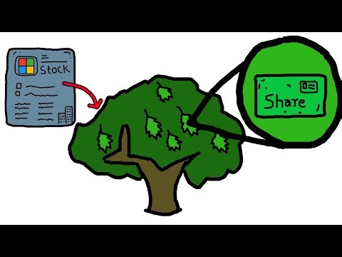 Stock vs Share | Difference between Stock and shares.
