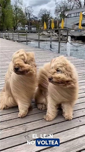 El silencio es la mejor respuesta a la provocación. No desperdicies tu energía en discusiones