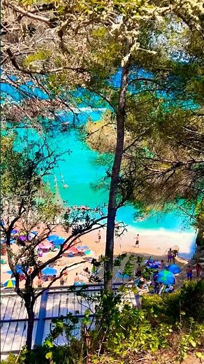 🇪🇸 Beautiful day at Costa Brava beach 🏝️🦋🌹🦋