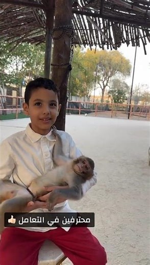 He is the tame monkey of the all-player