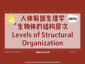 【中英双语国际课程-人体解剖生理学】生物体的结构层次 | Levels of Structural Organization