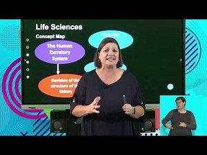 Life Sciences Gr11 The Excretory System in Humans - The Nephron