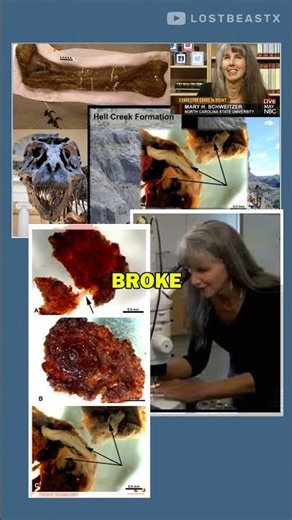 The T-Rex Bone That Had a Pulse