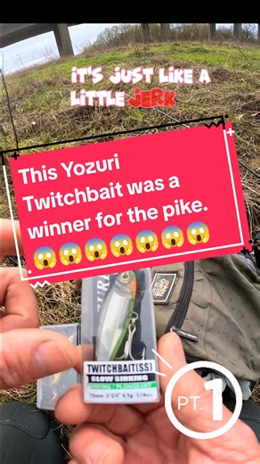 What a great little twitchbait #yozuri #yozurilures #lure #luresfishing #pike #pikefishing #fishingtips #fishingtutorials #wyeperch #foryou #foryourpage #fishing #fishingtiktoks Perch fishing UK tips, best lures for perch UK, how to lure fish for perch UK, perch fishing UK little streams, lure fishing for perch UK canals, perch fishing uk canals, best rods for perch, perch lure fishing UK, perch fishing UK tips, how to catch perch UK, Catch perch fishing UK tips, best lures for perch UK, how to 