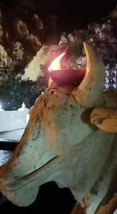 14K views · 528 reactions | Karthika Deepam At Kapilatheertham Today ❤️ Credits: Krishna Reddy Nalandala #tirupati #tirupathi #tirupati_smart_city #tirupatidiaries #lordshiva #mahadev #kapilatheertham | It's My Tirupati | Facebook