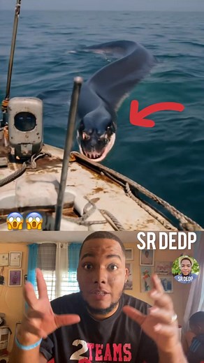 1.7M views · 10K reactions | #viralpost2025シ #anaconda #reelviral #Viralfacebook #oceano #viralpost #bote #Increible #fyp | Sr Dedp | Facebook