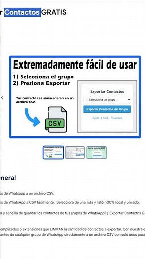 Export WhatsApp Business Web Contacts | Gratarola