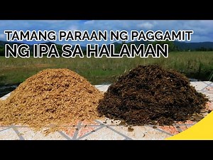PAANO ANG TAMANG PARAAN NG PAGGAMIT NG IPA SA HALAMAN | How to Use Rice Hull Properly in Plants