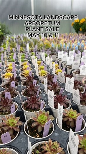 10K views · 101 reactions | The Arboretum Plant Sale is coming soon...