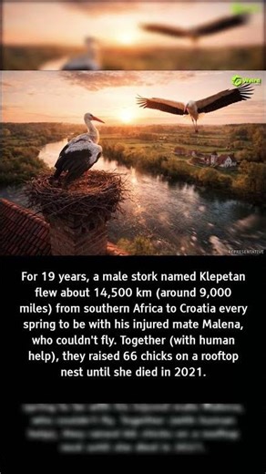#Viral #Trending #Shorts #Bizzare #Strange #Weird #Weirdness #Oddities #Weirdfacts #Curious #Fyp#usa