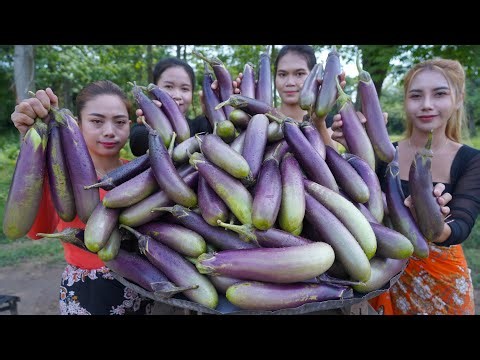 Fresh 30kg eggplant roasted cook recipe and eat with my family - Amazing video