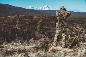 Paladin Custom Apex Modular Rig