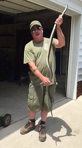 17K views · 21 reactions | Virginia Wildlife Management and Control on Reels | Facebook