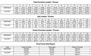 Demetrius Andrade vs. Jack Culcay - CompuBox Punch Stats