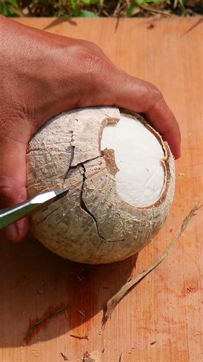 how to open a coconut shell