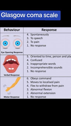 Understanding the Glasgow Coma Scale in Brain Injury Assessment