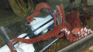 66K views · 1.5K reactions | Some enrichment requires thinking...