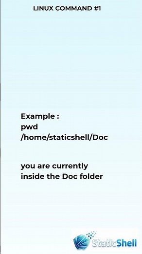 pwd Command Explained | Linux for Beginners