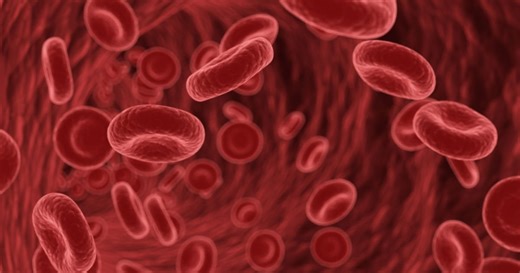 Anemia: o que é, sintomas e alimentos que combatem