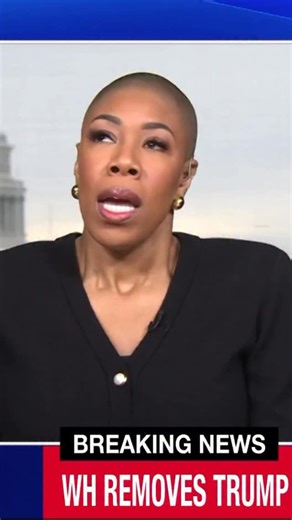 Symone D. Sanders Townsend on Instagram: "1 - There are no apes in the Lion King. 2 - know the history."