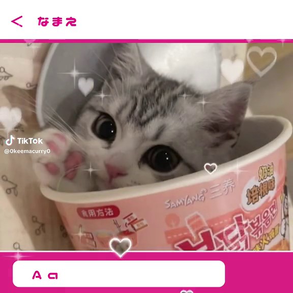 流行っているテンプレート猫写真編集 - 可愛い音ハメ動画編集
