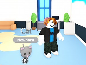 How do I make a pet following system with raycasting?