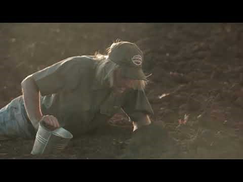 Suid Afrika - Armand Hofmeyr