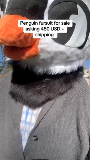 Ry on Instagram: "For more information look at my pinned post or feel free to ask any questions! ^w^ #furry #fursuit #fursuitmaker #fursuitforsale #penguin #birdfursuit"