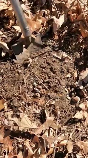 Short #138 - Turn on the water with this find. Metal Detecting with the Nokta Makro simplex