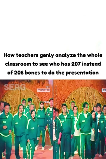 "207 Bones Identified" 😭🥀