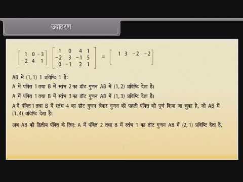 Matrix Algebra Part 2 Hindi | Full Lecture