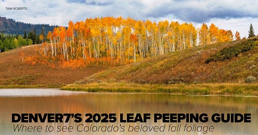Leaf peeping guide for 2025: Soaking up Colorado's beloved fall foliage on foot, by car, by train