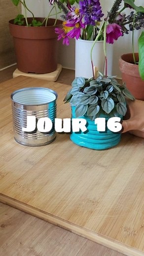Mathieu Moulia & Mathilde • DIY on Instagram: "Projet 30 jours : Transforme des palettes en étagères DIY pour un mur digne de Pinterest. Pour le jour 16, on change un peu de cap ! Pas de palette EPAL aujourd'hui, mais une boîte de conserve à recycler ! ♻️ Merci à @anna.gllx pour l'inspiration 😊 📋 Ce dont tu as besoin : - 1 boîte de conserve vide (et bien lavée, c'est mieux 😉) - De l'argile autodurcissante (je te recommande celle de chez Action à 1,49 €) - De la peinture acrylique, également d