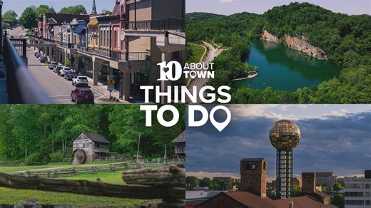 10About Town Things to Do: Knoxville's Largest Kids Party, Bob Dylan Birthday Bash and Sports Animal SportsFest (May 30 to June 4)