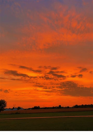 Self destruction looks beautiful 🔥 | Creative Destruction