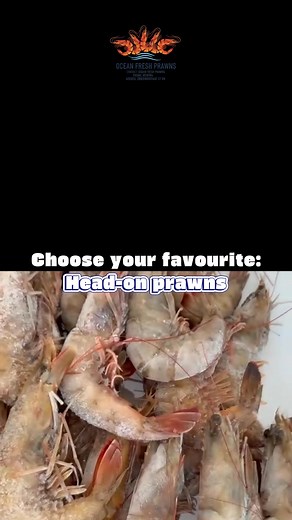 42K views · 180 reactions |  OCEAN-FRESH PRAWNS – THE TRUE TASTE OF...