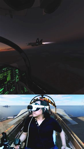 Night ops. No lights. Just trust your instruments #f18 #dcs #aviation