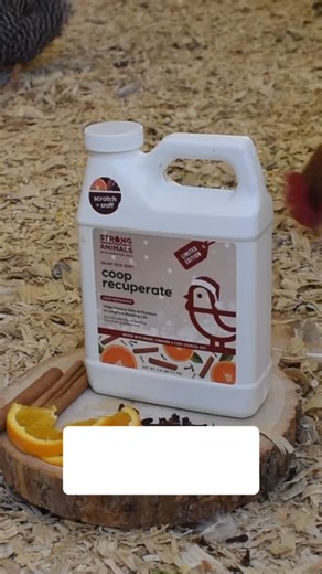 Coop Recuperate Orange Spice is leaving for good! 🍊Infused with organic orange, cinnamon and clove essential oils, it doesn’t just smell incredible… it keeps your bedding fresh and flocks healthy. 🧡Get it while you can for just $4.99. (That’s $5 off!😍) Shop here: https://bit.ly/4c3dI0D #backyardchickens #coop | Strong Animals Chicken Essentials