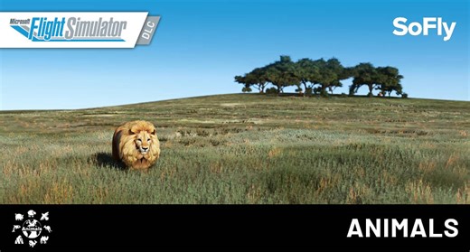 SoFly - Animals
