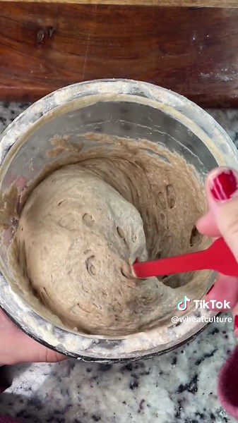 How to Make Whole Wheat Sourdough Starter | Easy Bread Recipe