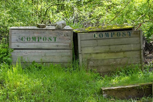Does Compost Have Nitrogen and Phosphorus?