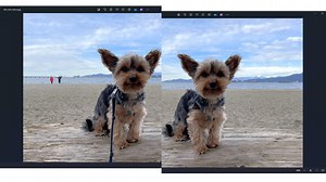 Windows Is Getting Its Own Magic Erase AI Tool