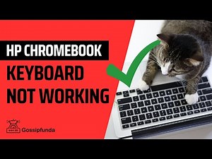 HP Chromebook keyboard not working